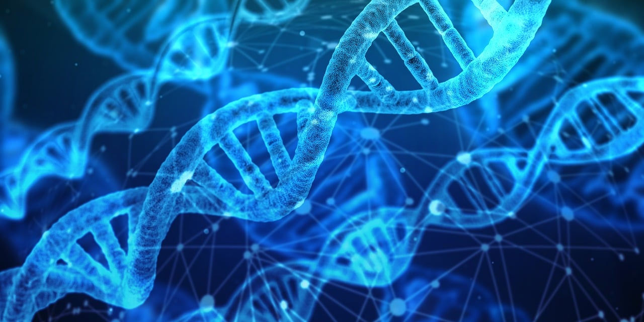 The MTHFR Gene Mutation: Its Impact on Fertility and Vitamin Metabolism