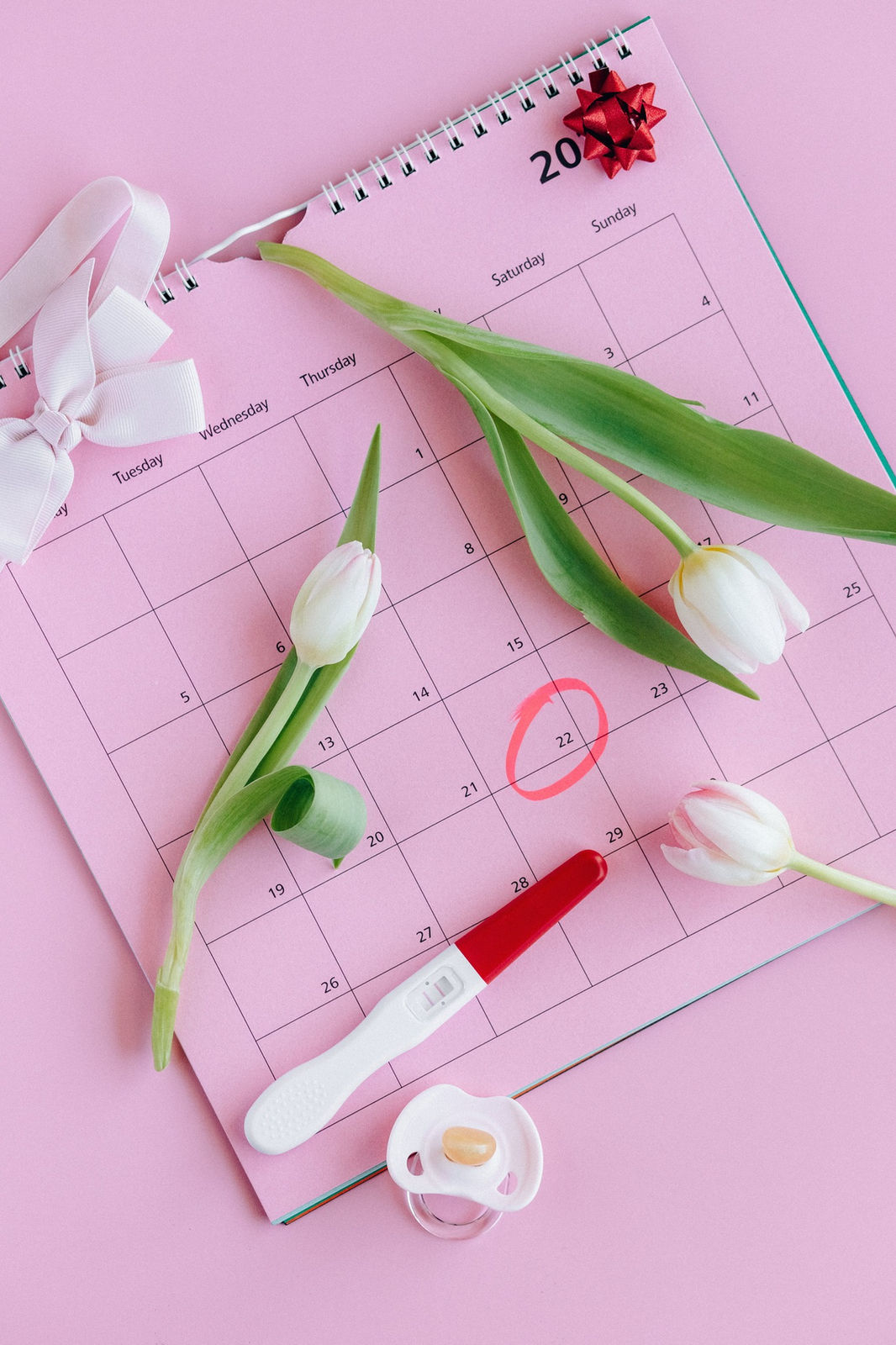 What is NFP and Fertility Awareness?