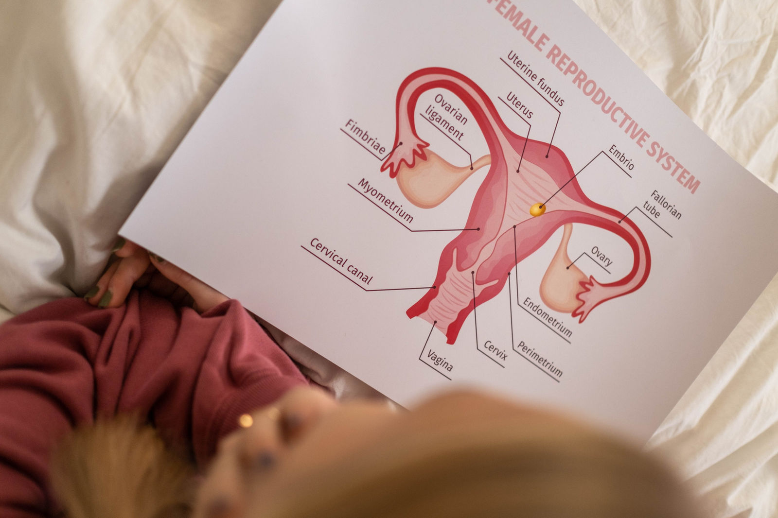 Understanding the Complete Menstrual Cycle